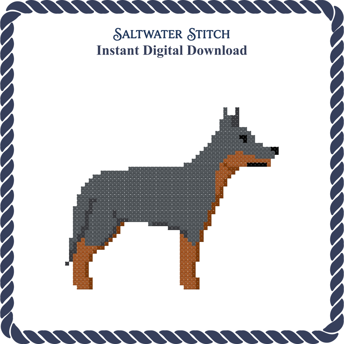 Blue Heeler Dog