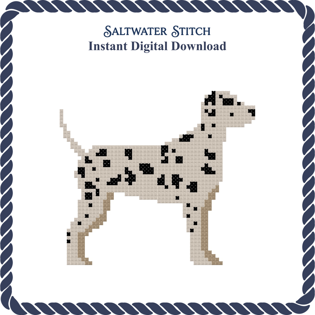 Dalmatian Dog