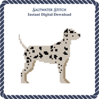 Dalmatian Dog