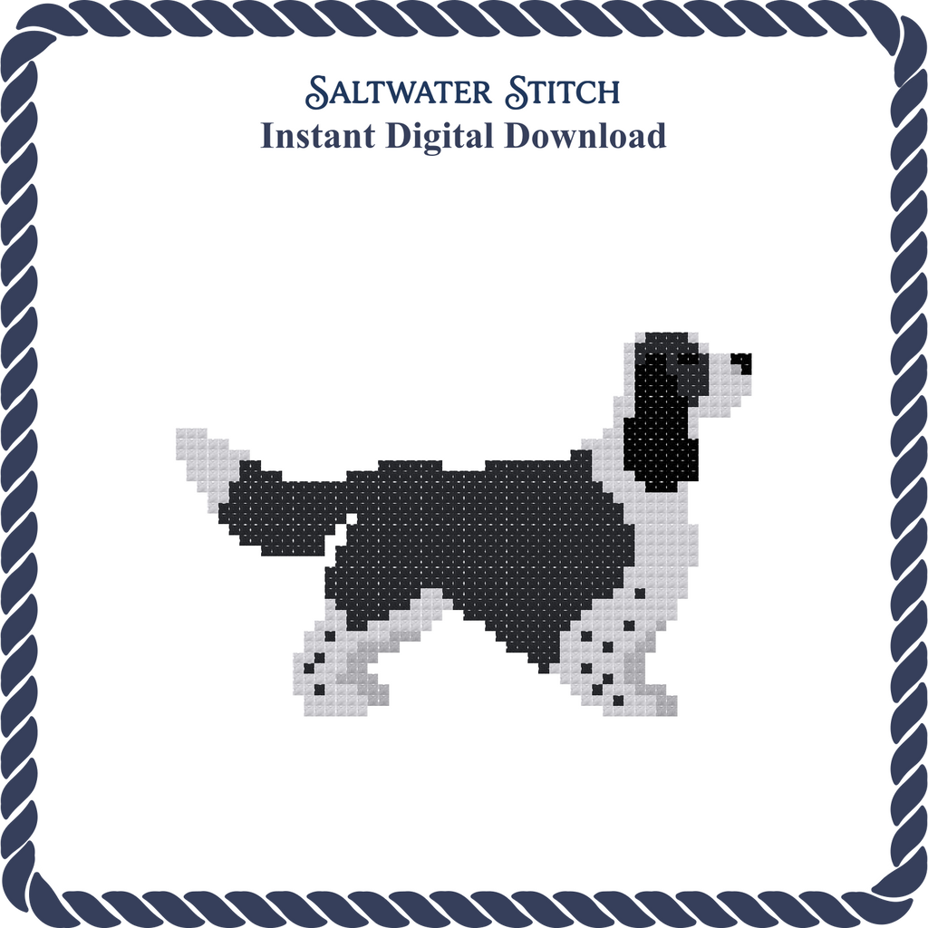 Springer Spaniel (B&W)