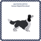 Springer Spaniel (B&W)