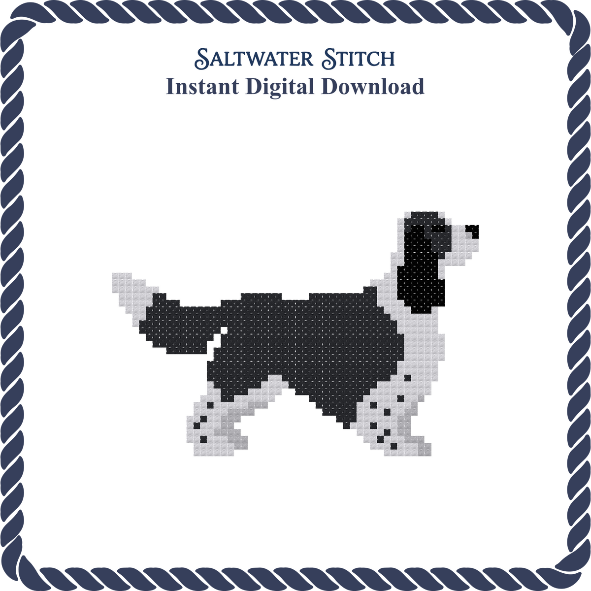 Springer Spaniel (B&W)