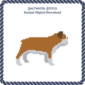 Bulldog (Brown & White)