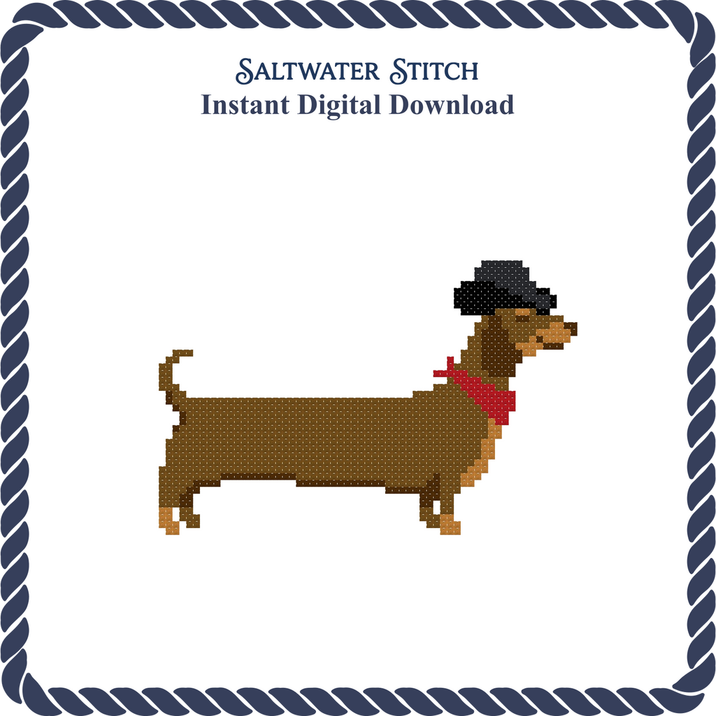 Dachshund in Cowboy Hat