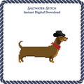 Dachshund in Cowboy Hat