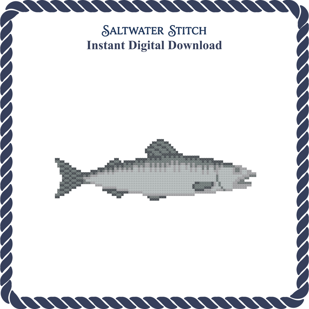 Salmon Fish