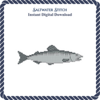 Salmon Fish