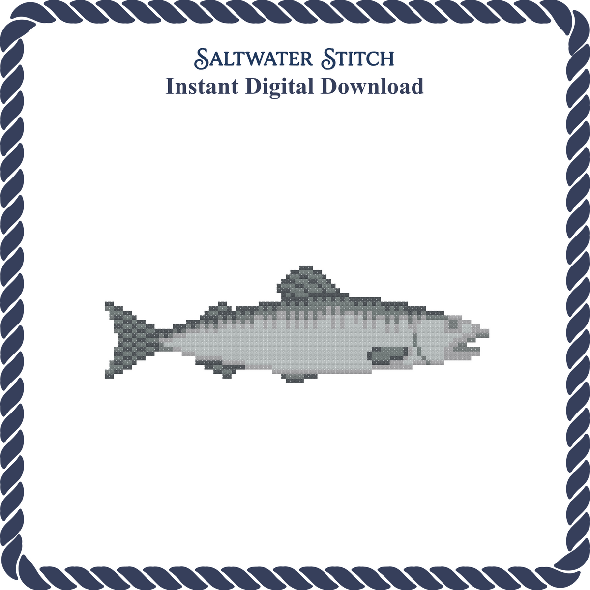 Salmon Fish