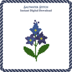 Larkspur