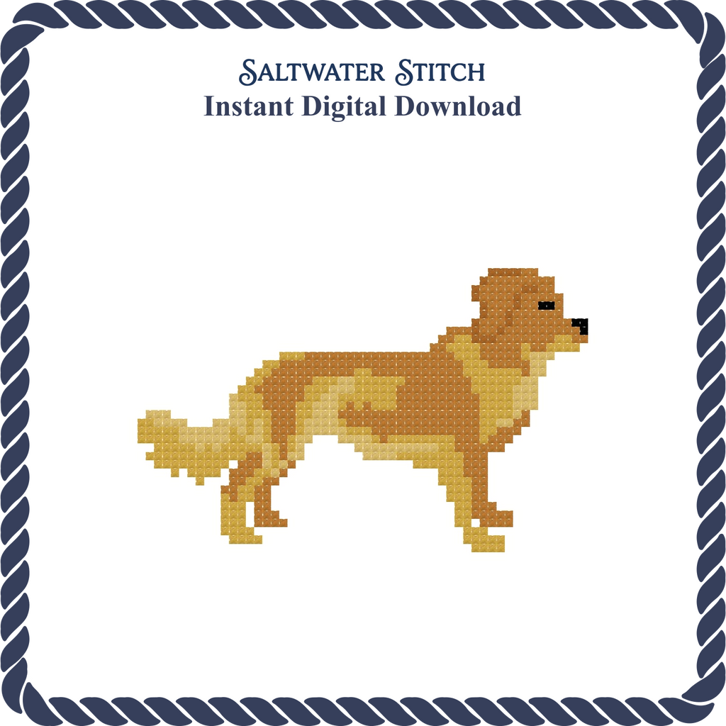 Nova Scotia Duck Tolling Retriever