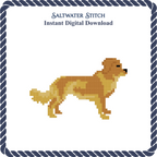 Nova Scotia Duck Tolling Retriever
