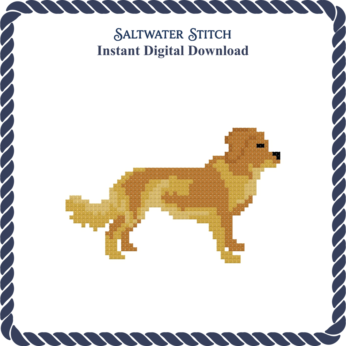 Nova Scotia Duck Tolling Retriever