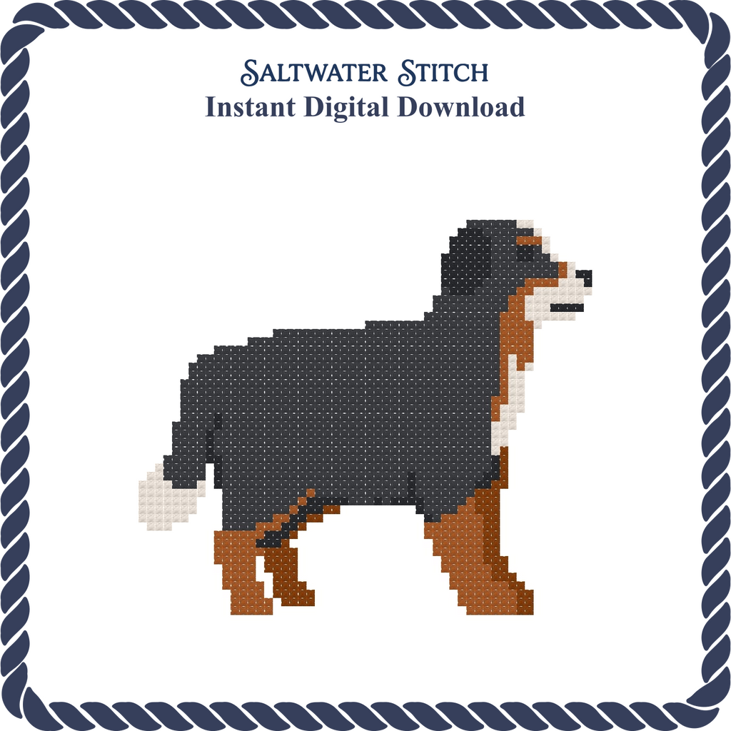 Bernese Mountain Dog