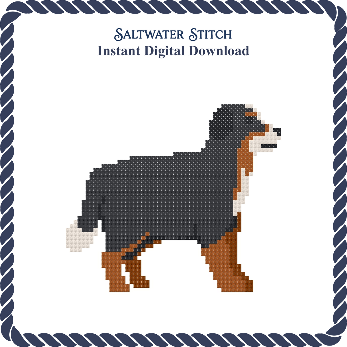 Bernese Mountain Dog