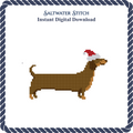 Dachshund in Santa Hat