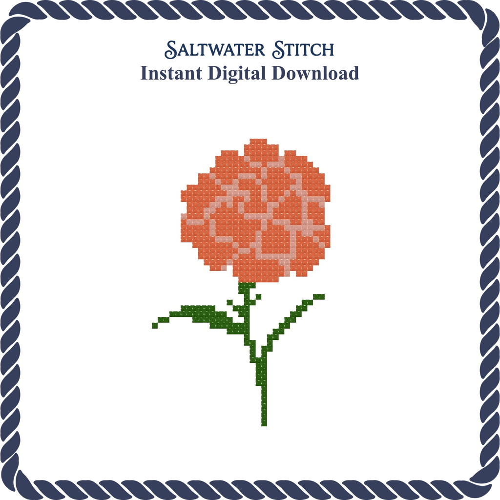 Carnation