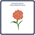 Carnation