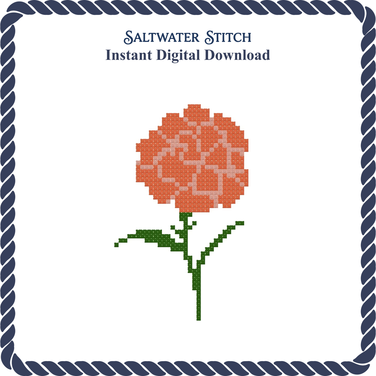 Carnation