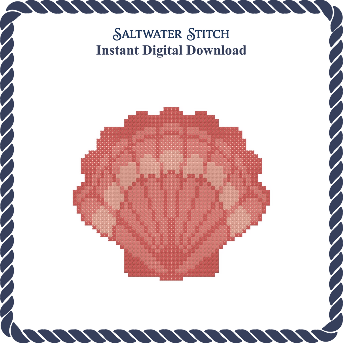 Scallop Shell