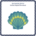 Multicolored Scallop Shell 1