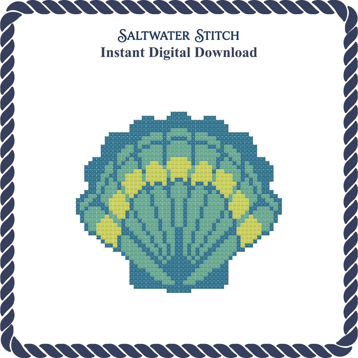 Multicolored Scallop Shell 1