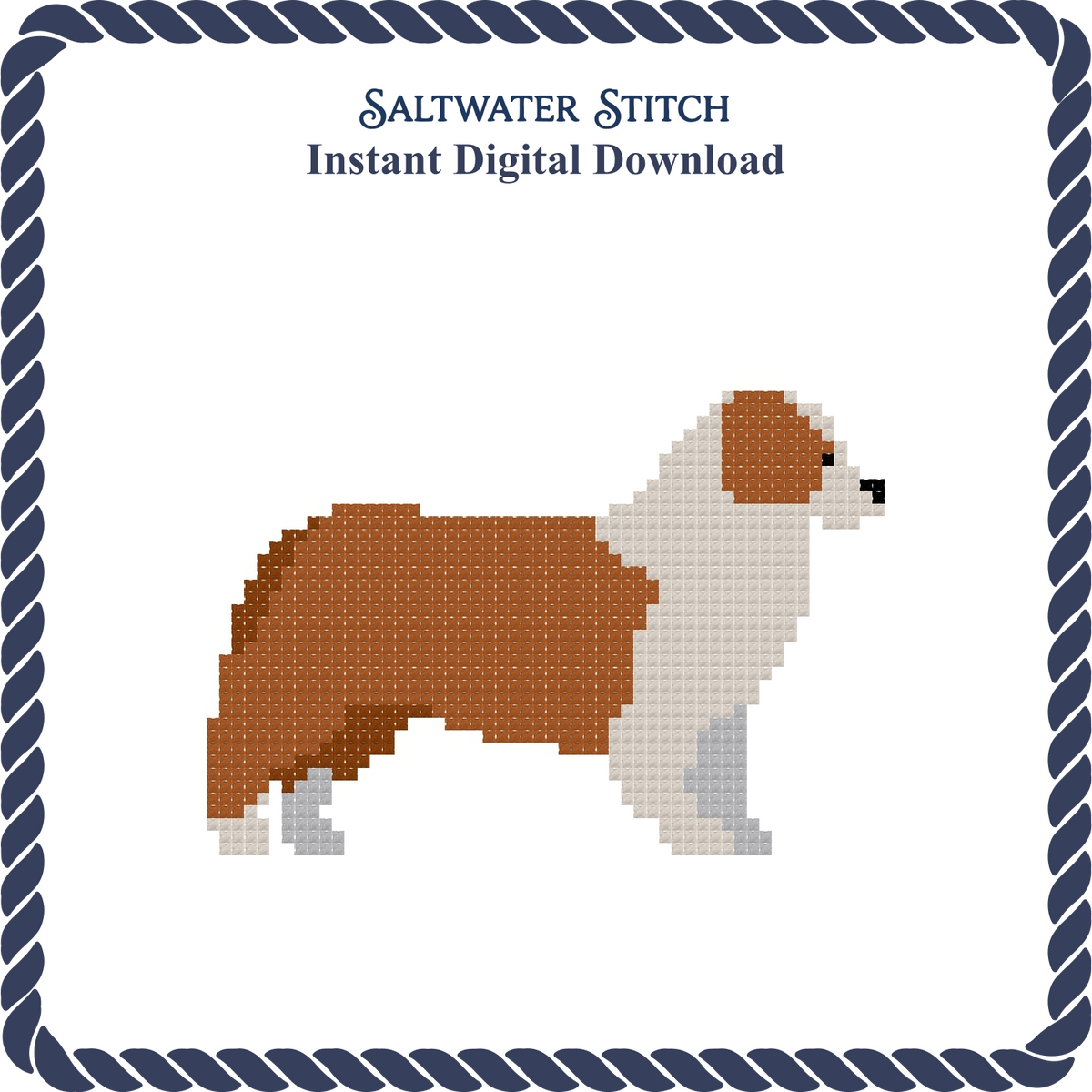 Australian Shepherd