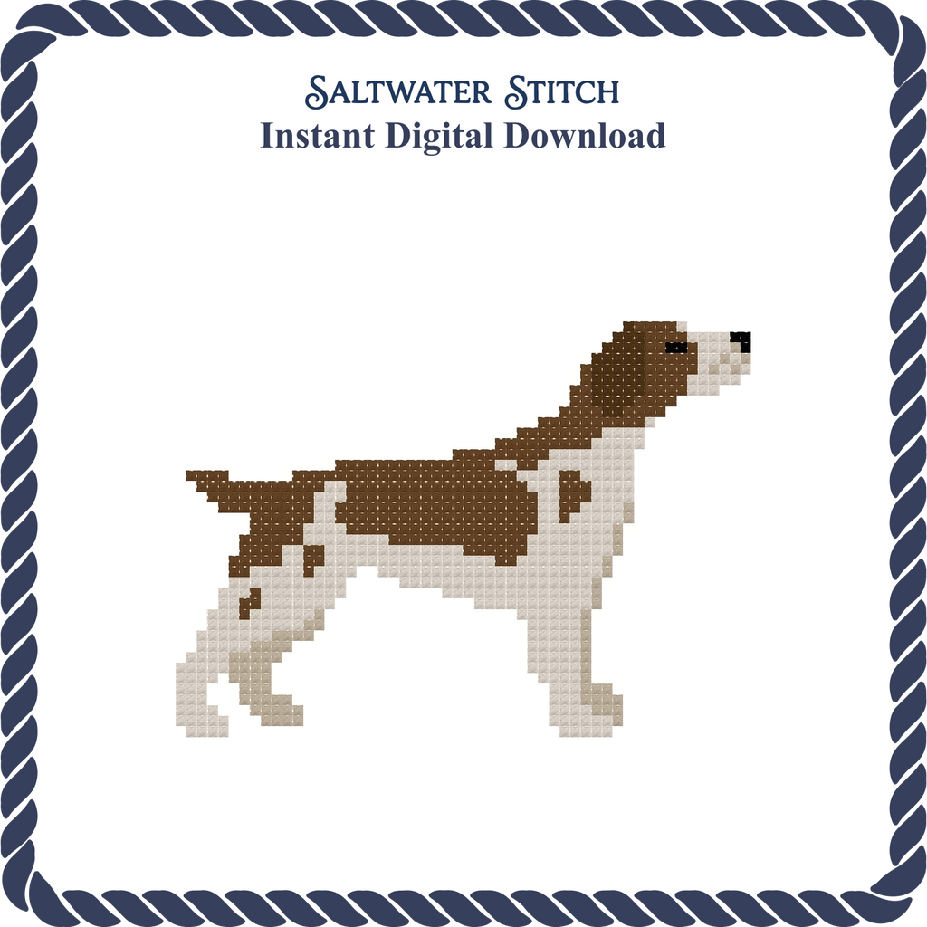 Brittany Spaniel