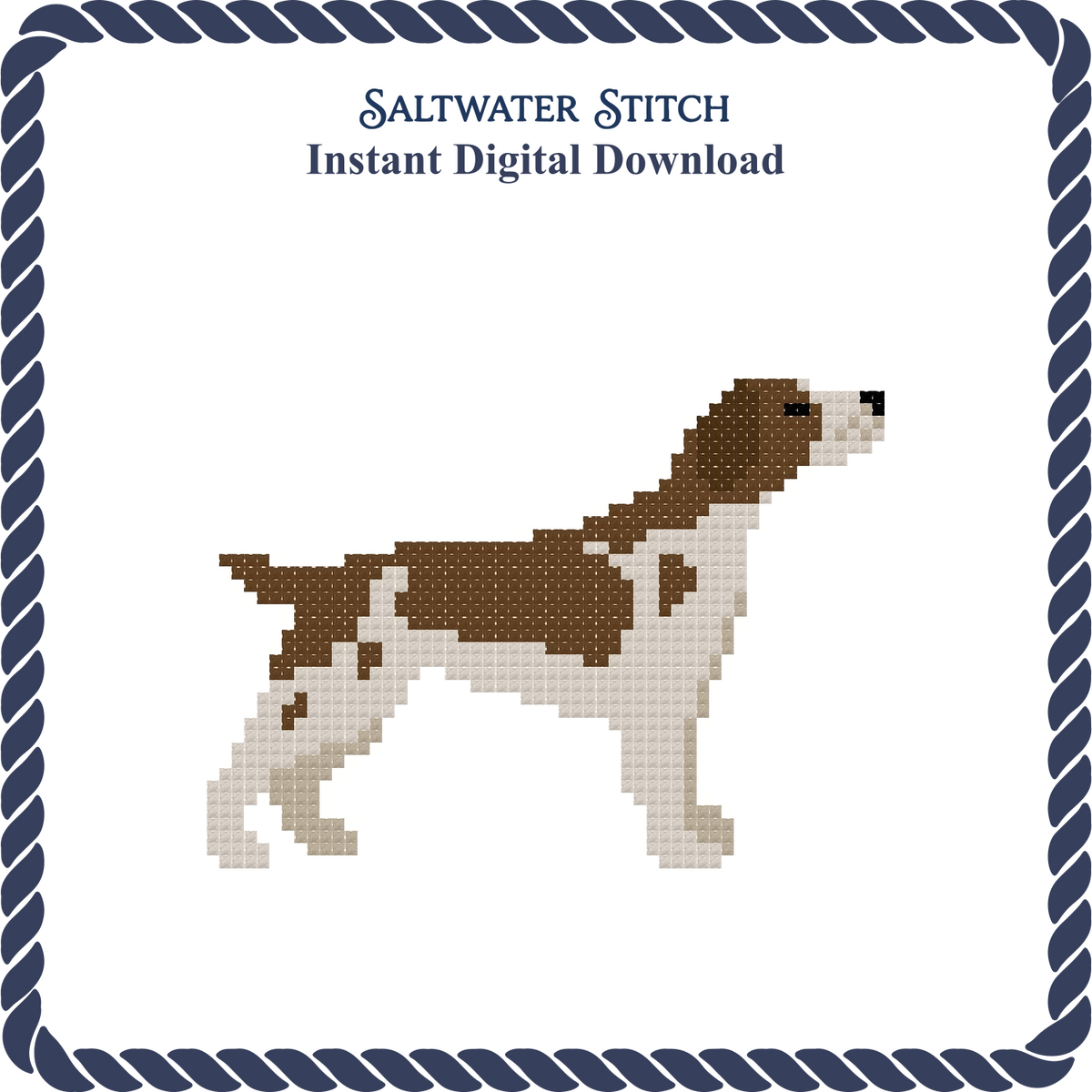 Brittany Spaniel