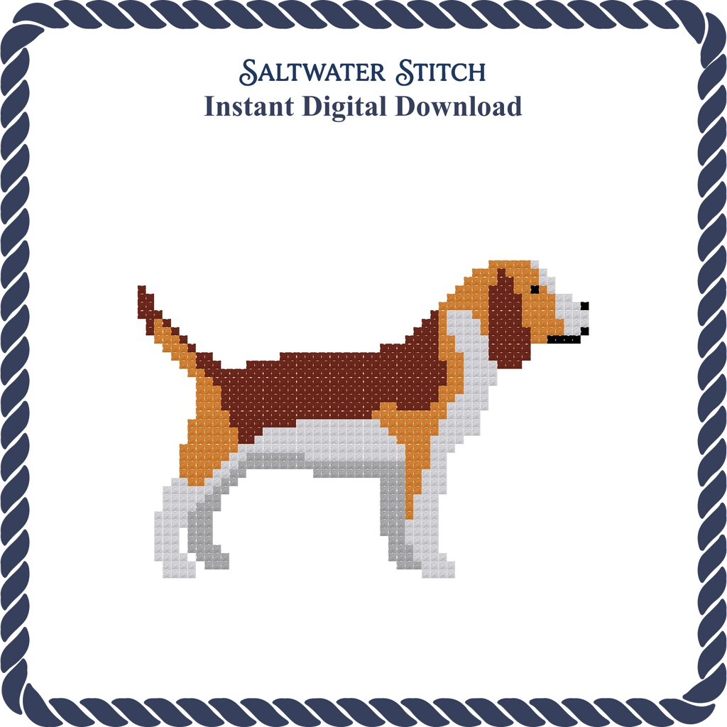 Beagle