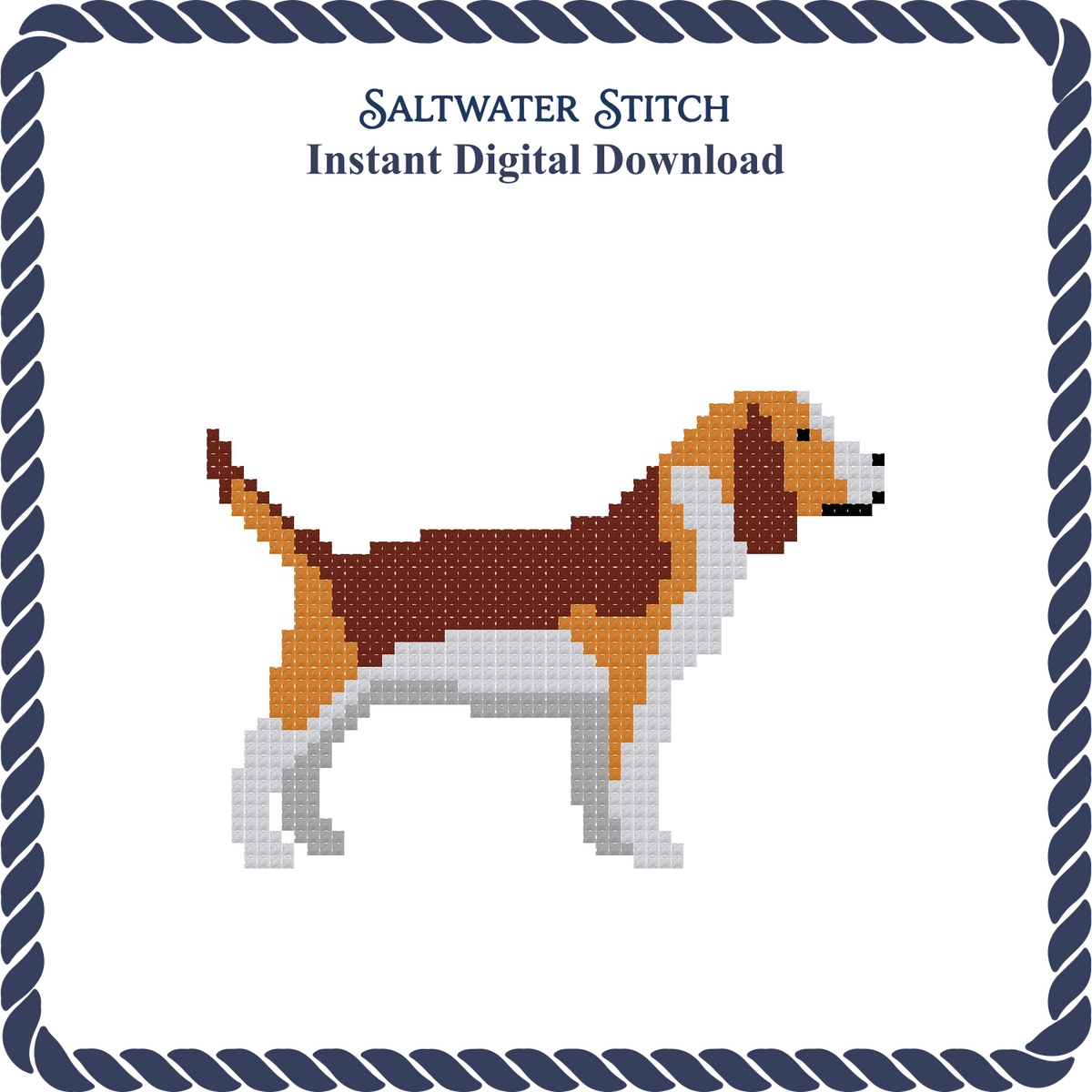 Beagle