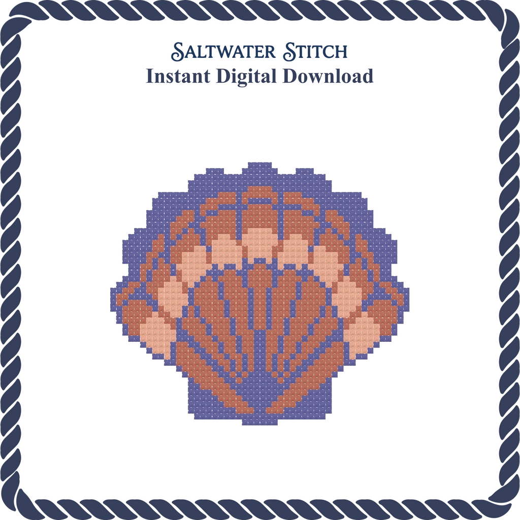 Multicolored Scallop Shell 2