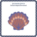 Multicolored Scallop Shell 2