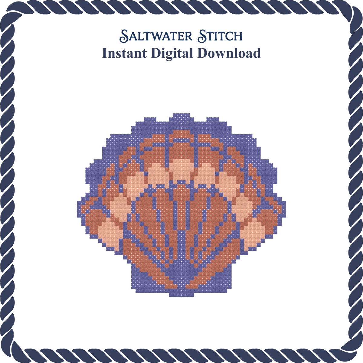 Multicolored Scallop Shell 2