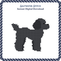 Poodle (Black)