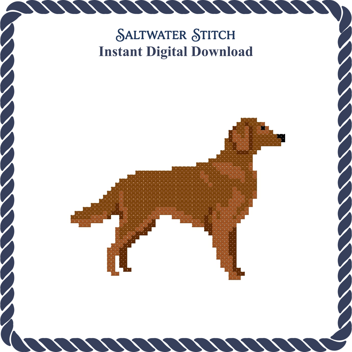 Irish Setter Dog