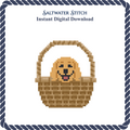 Puppy in a Basket