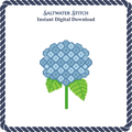 Hydrangea Flower