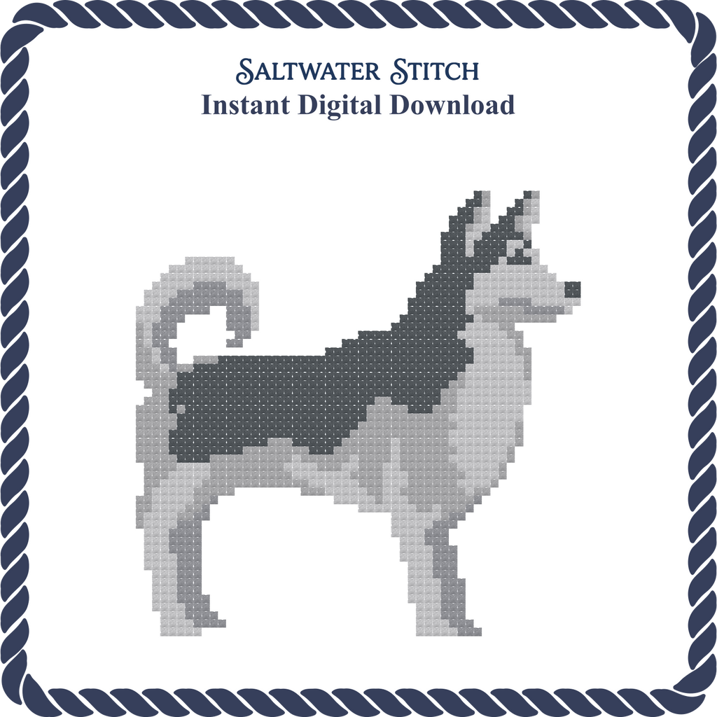 Husky Dog