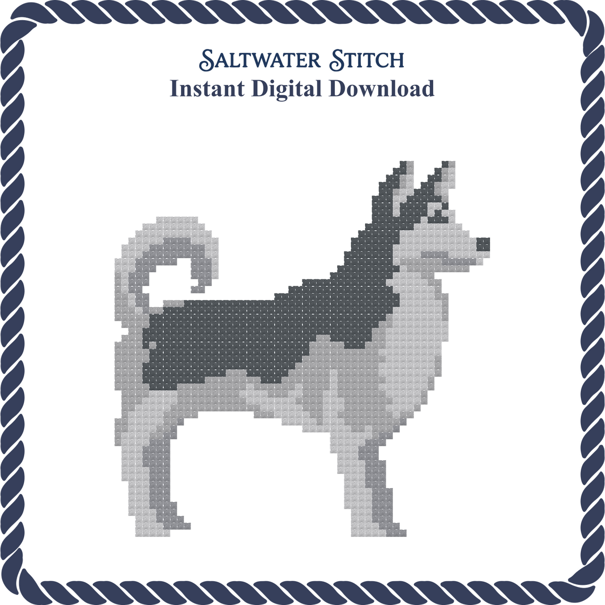 Husky Dog