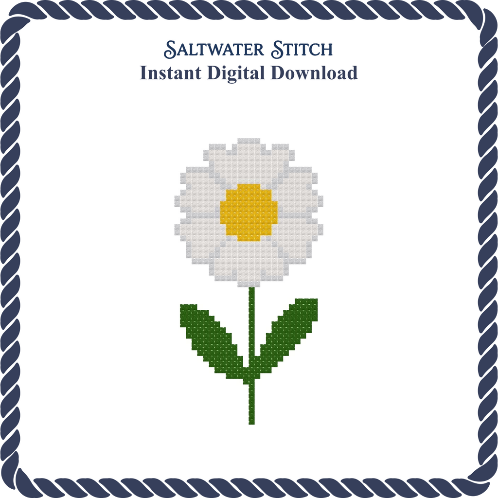 Daisy