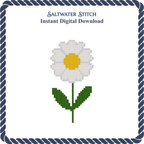 Daisy