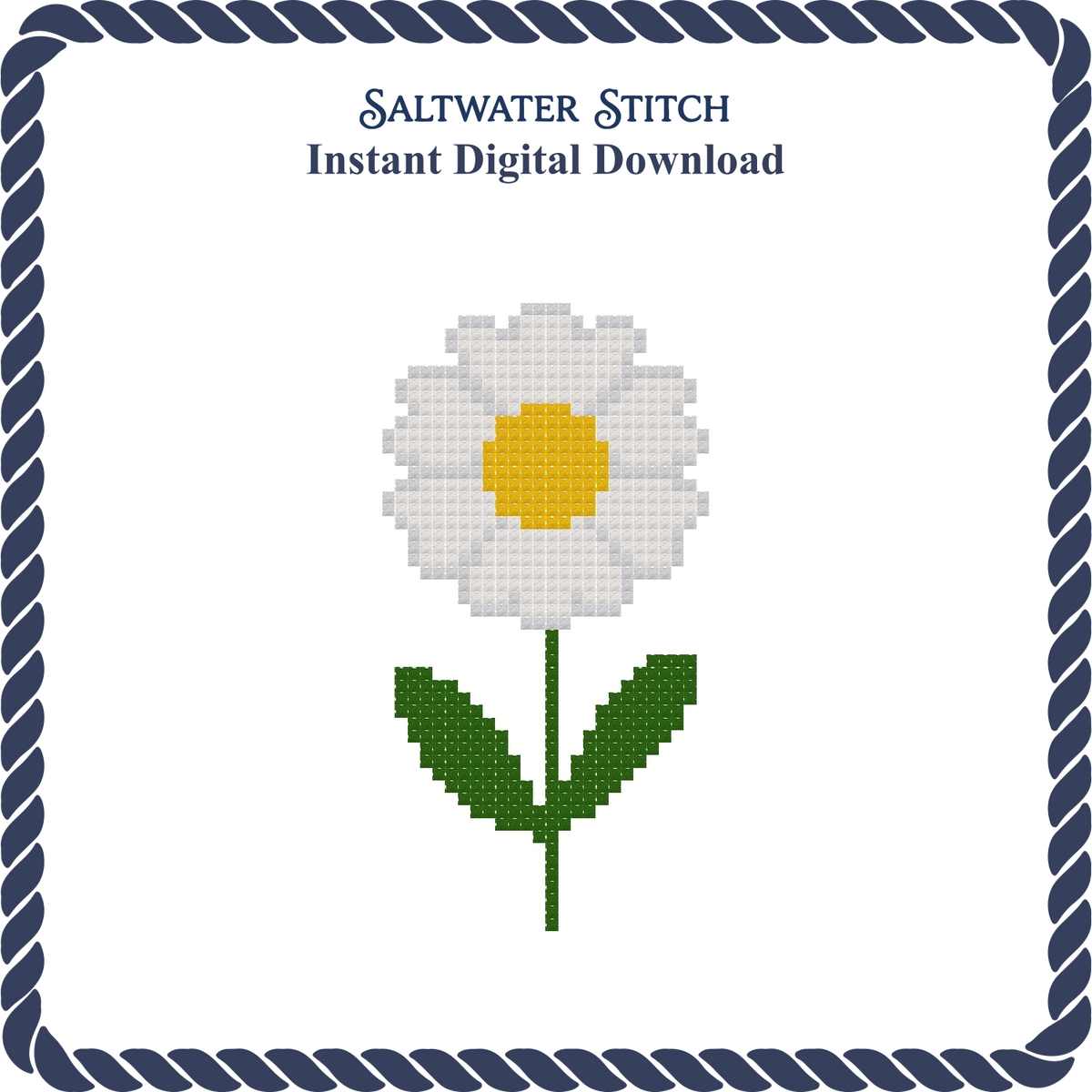 Daisy
