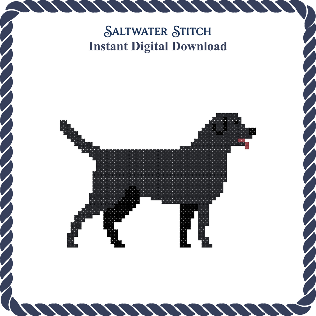 Black Lab Dog