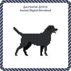 Black Lab Dog