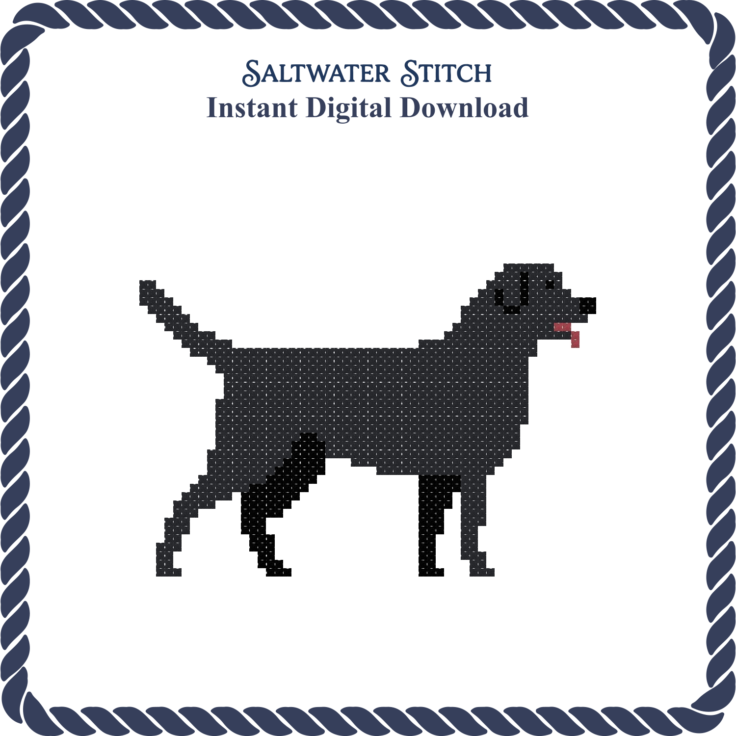 Black Lab Dog