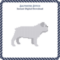 Bulldog (White)