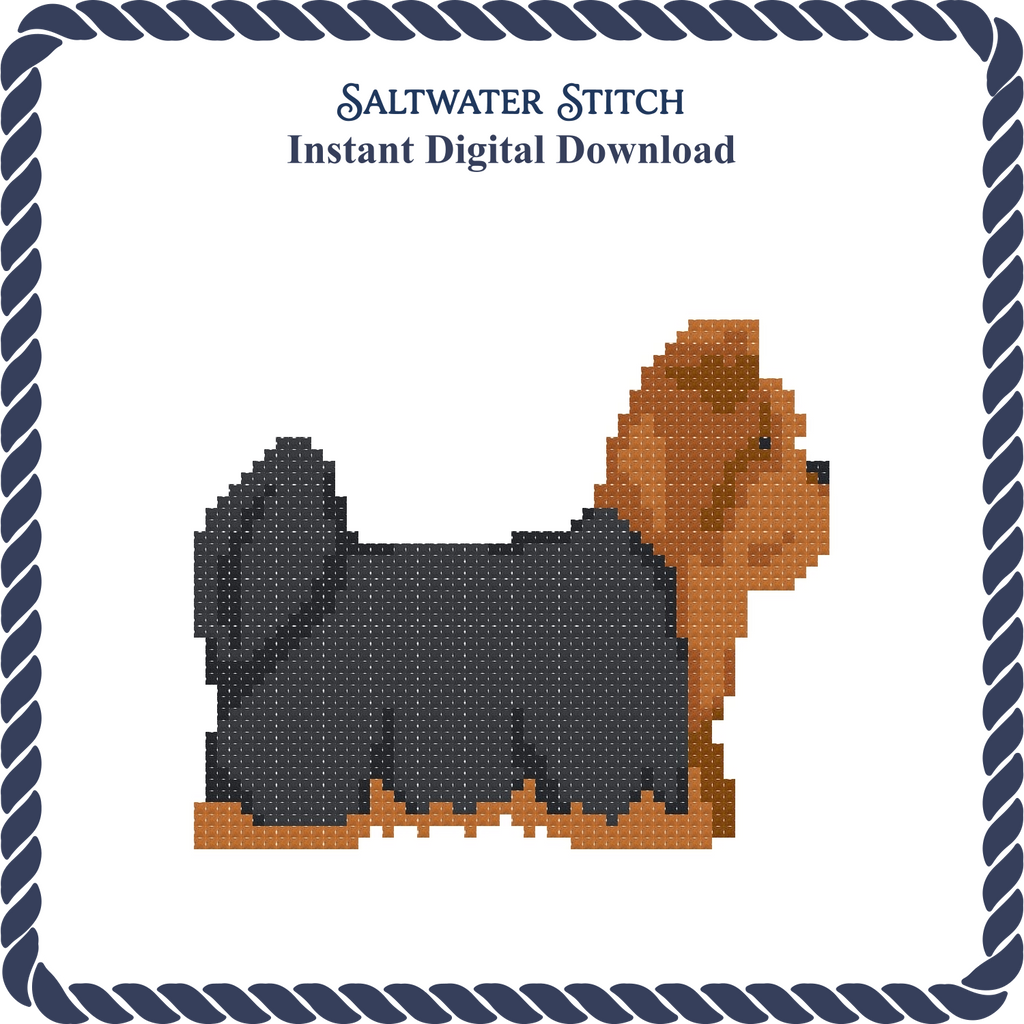 Yorkie