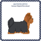 Yorkie