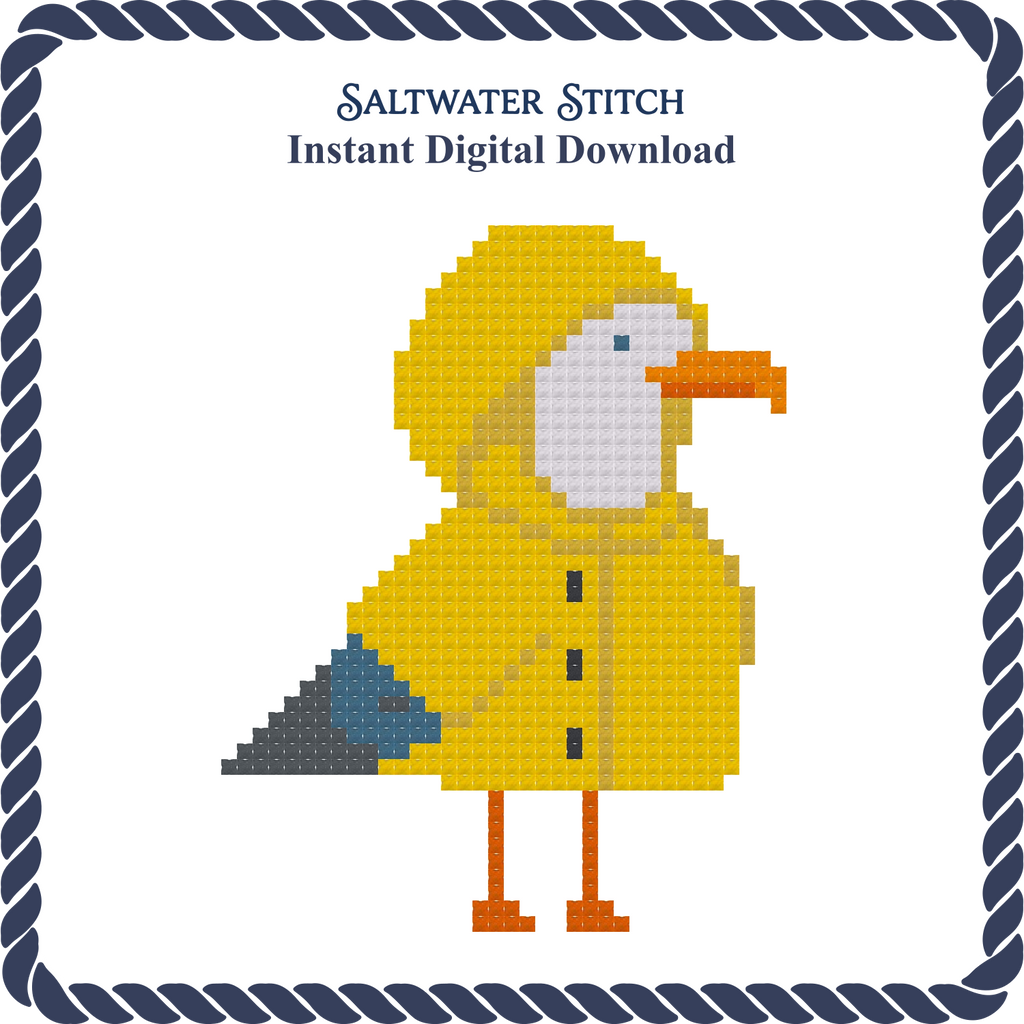 Seagull in a Yellow Slicker