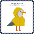 Seagull in a Yellow Slicker
